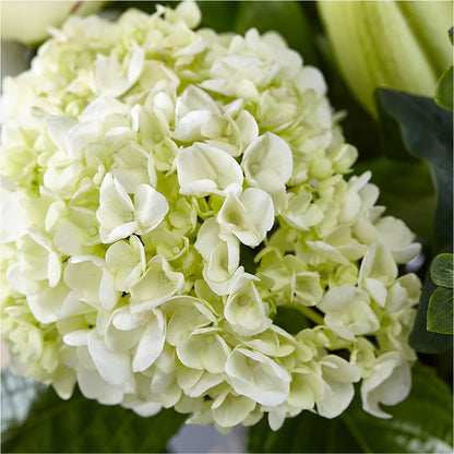 Classic Ivory – A Florist Original –  Heavenly Plants, Regina SK