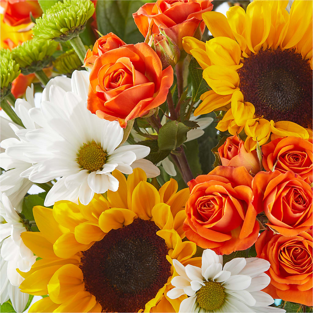 Sun-drenched Blooms Bouquet –  Heavenly Plants, Regina SK