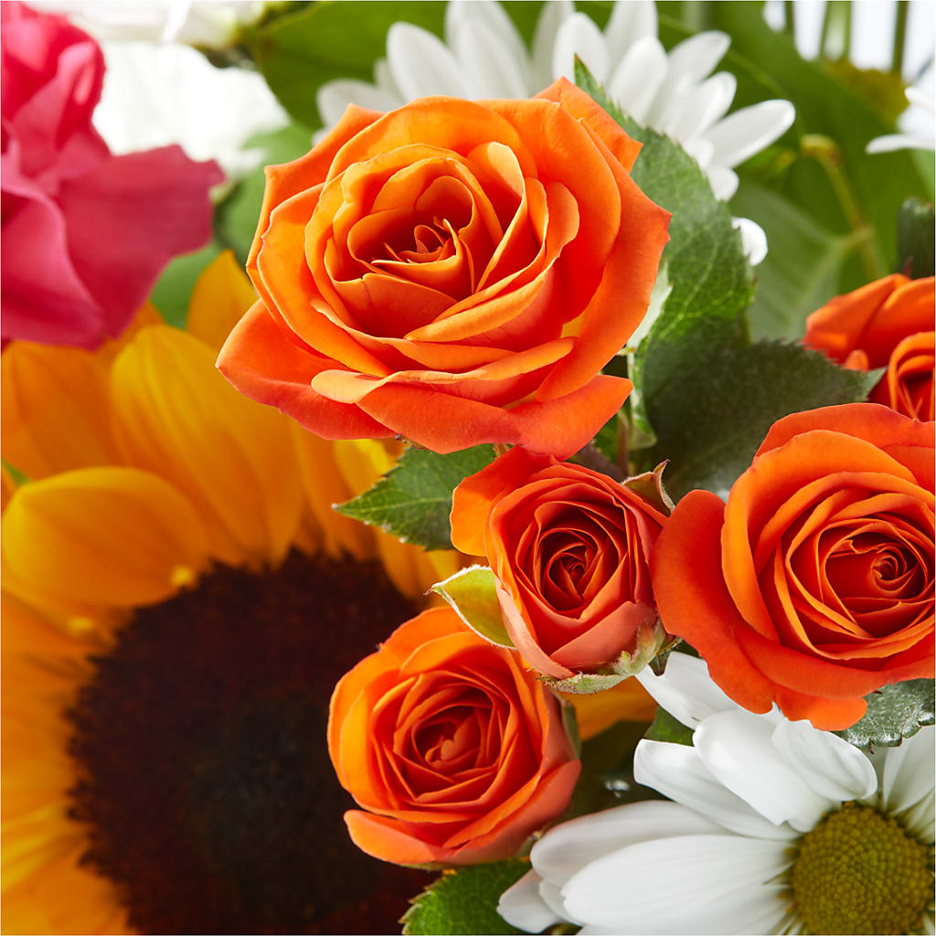 Sun-drenched Blooms Bouquet –  Heavenly Plants, Regina SK