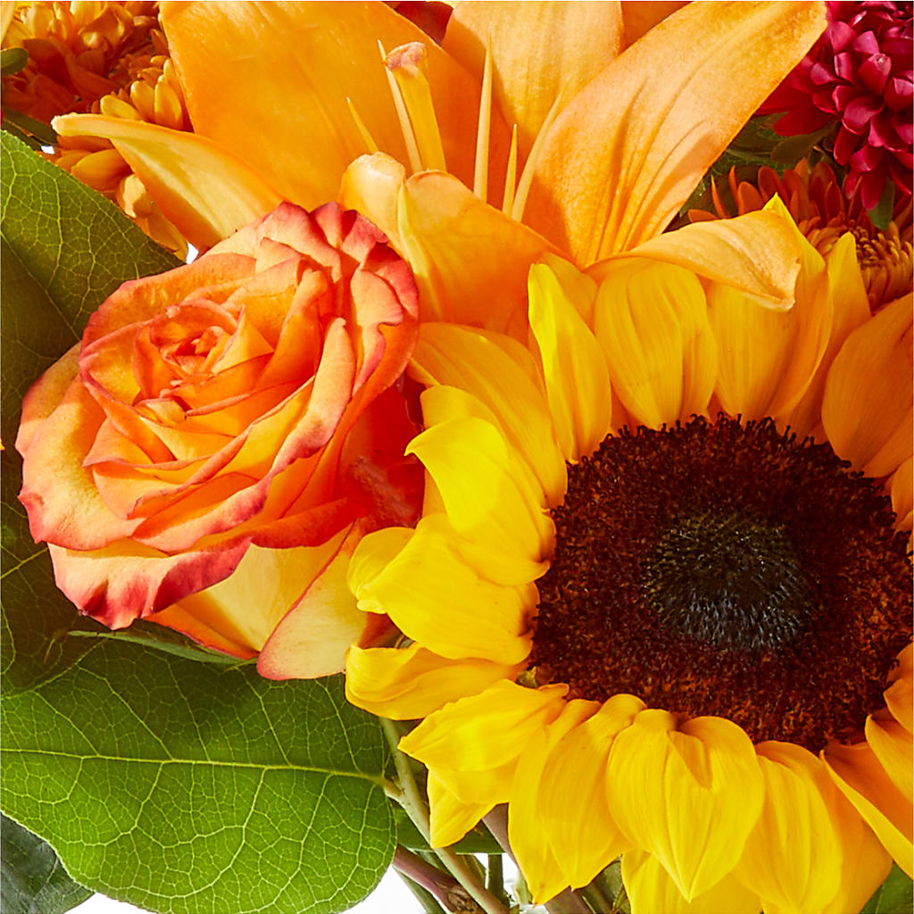 Fall Day Bouquet –  Heavenly Plants, Regina SK