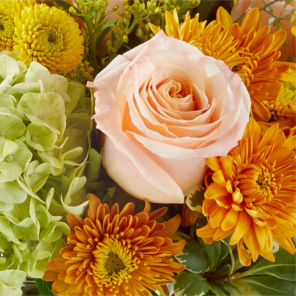 Fall Foliage Bouquet –  Heavenly Plants, Regina SK