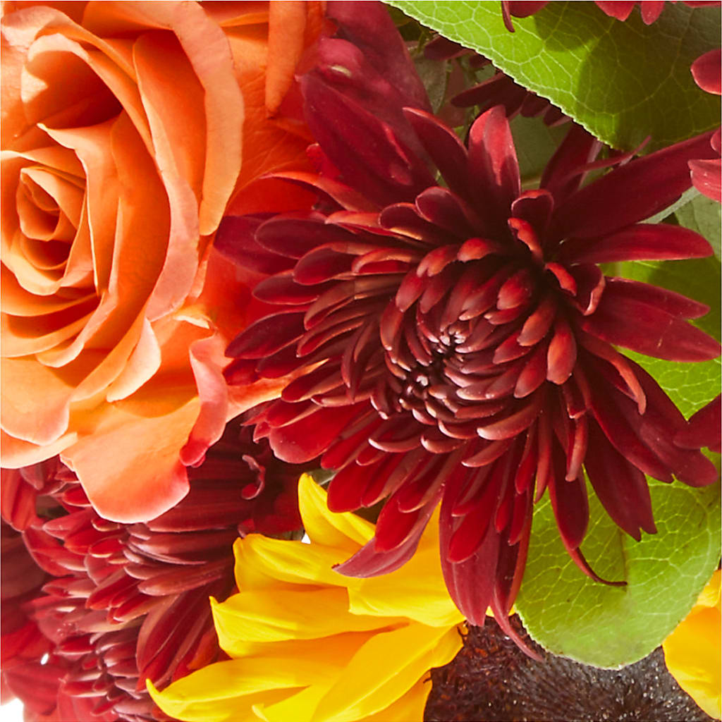 September Sunset Bouquet –  Heavenly Plants, Regina SK