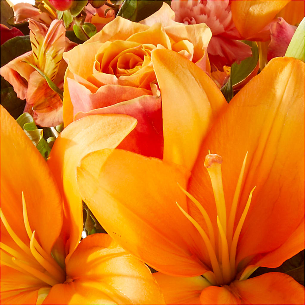 Afternoon Light Bouquet –  Heavenly Plants, Regina SK