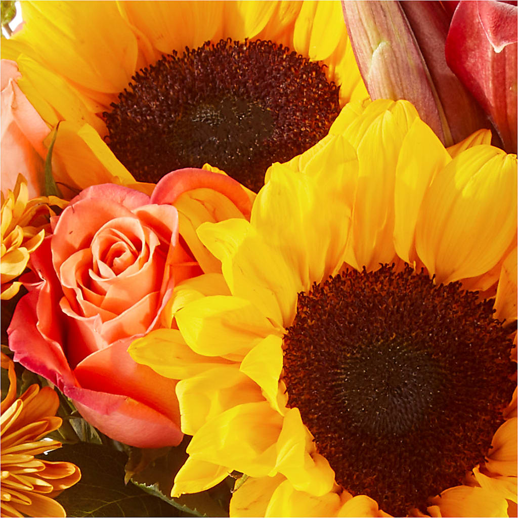 Acorn Lane Bouquet –  Heavenly Plants, Regina SK
