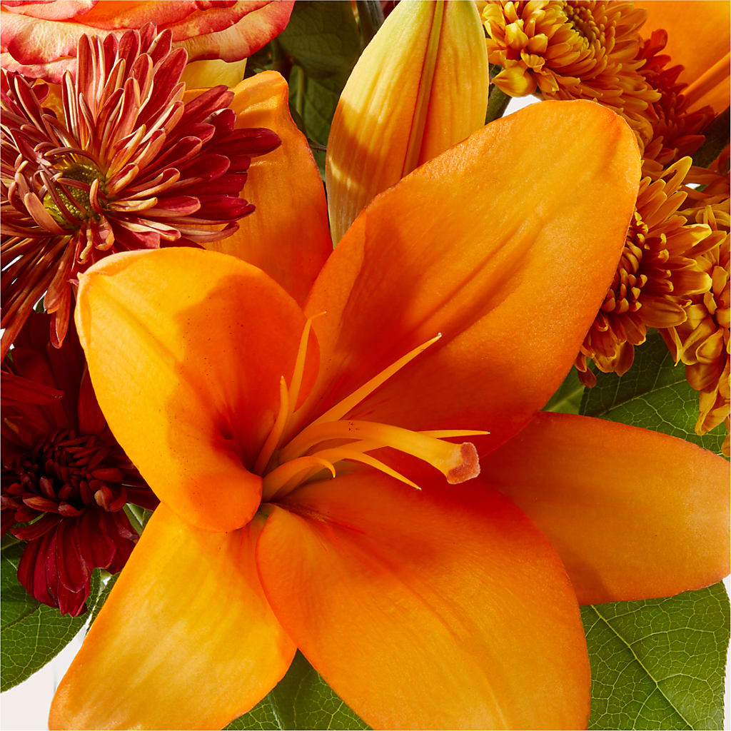 Autumnal Aroma Bouquet –  Heavenly Plants, Regina SK
