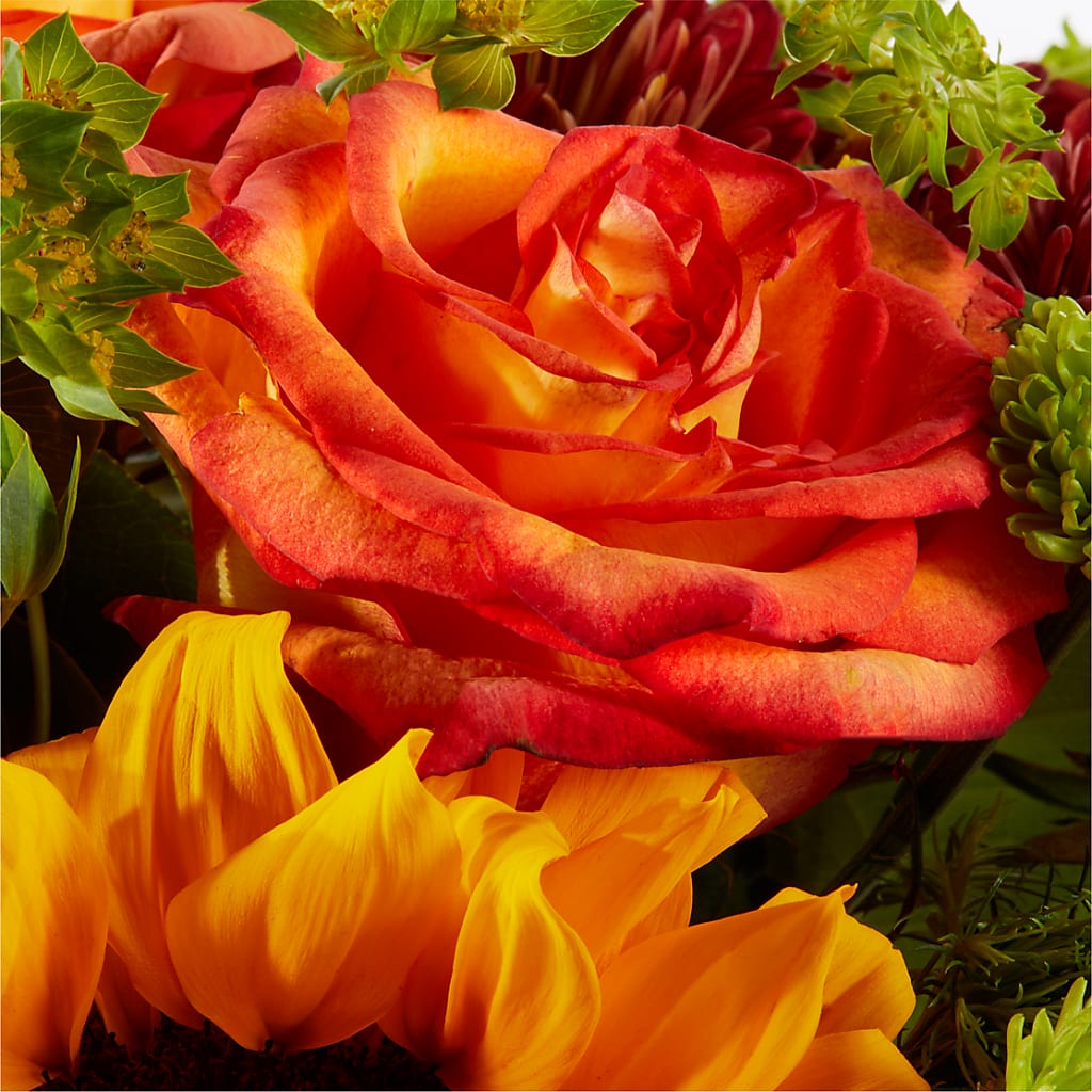 Harvest Festival Bouquet –  Heavenly Plants, Regina SK