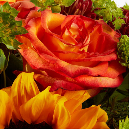 Harvest Festival Bouquet –  Heavenly Plants, Regina SK
