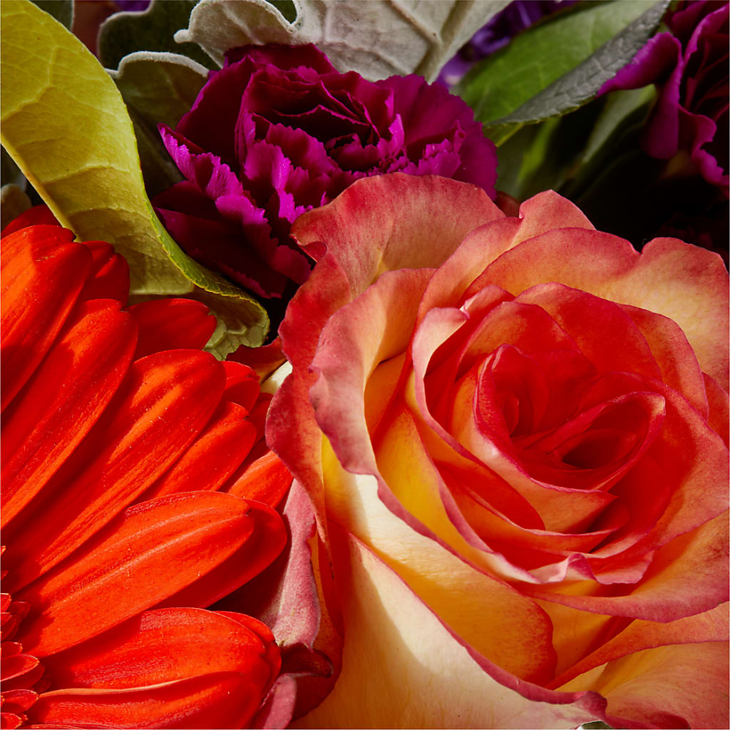 Sangria Bouquet –  Heavenly Plants, Regina SK