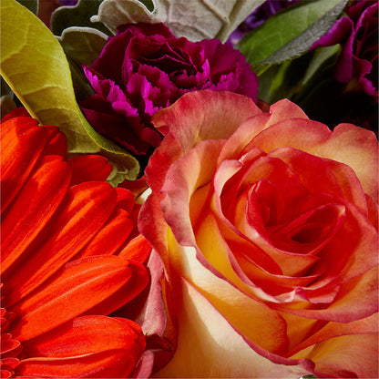 Sangria Bouquet –  Heavenly Plants, Regina SK