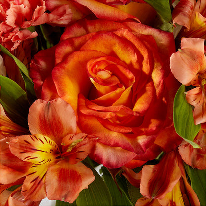 Apricot Glow Bouquet –  Heavenly Plants, Regina SK