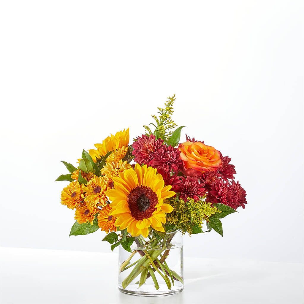 Flannel Scarf Bouquet –  Heavenly Plants, Regina SK