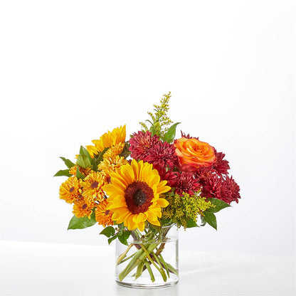 Flannel Scarf Bouquet –  Heavenly Plants, Regina SK