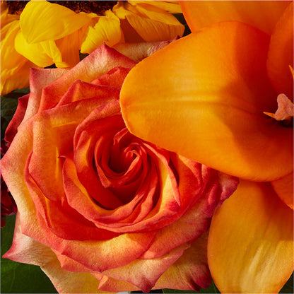 Grateful Centerpiece –  Heavenly Plants, Regina SK