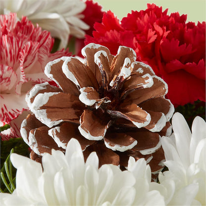 Candy Cane Lane Bouquet –  Heavenly Plants, Regina SK
