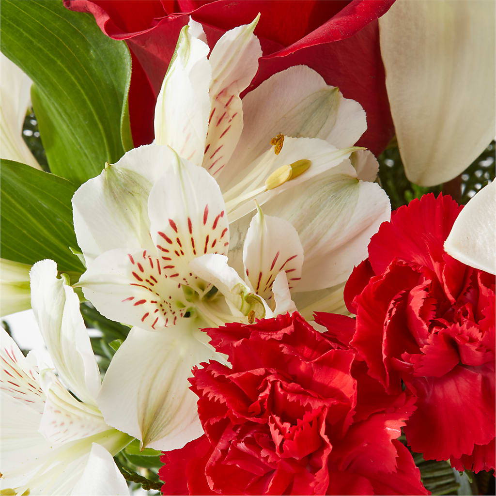 Holiday Season Bouquet –  Heavenly Plants, Regina SK
