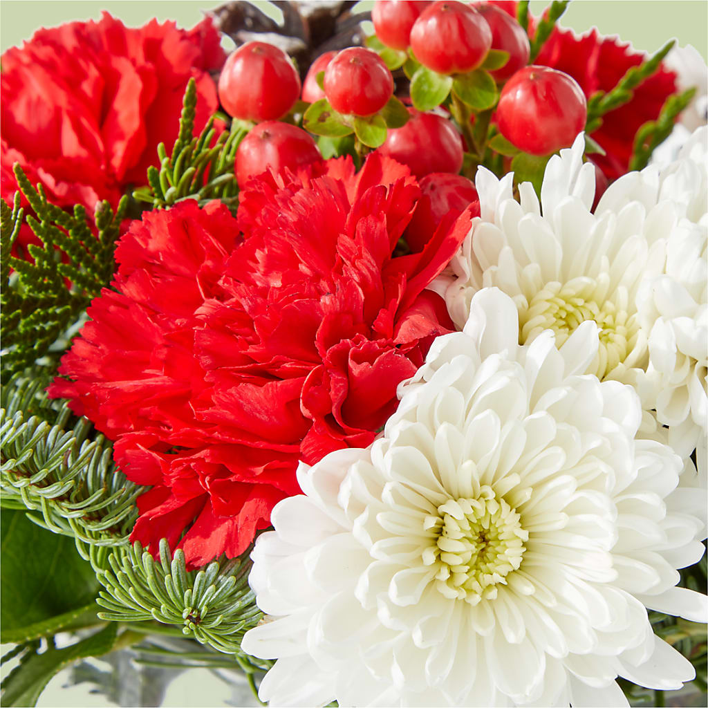 Snow Angel Bouquet –  Heavenly Plants, Regina SK