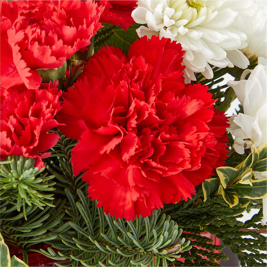 Christmas Market Bouquet –  Heavenly Plants, Regina SK