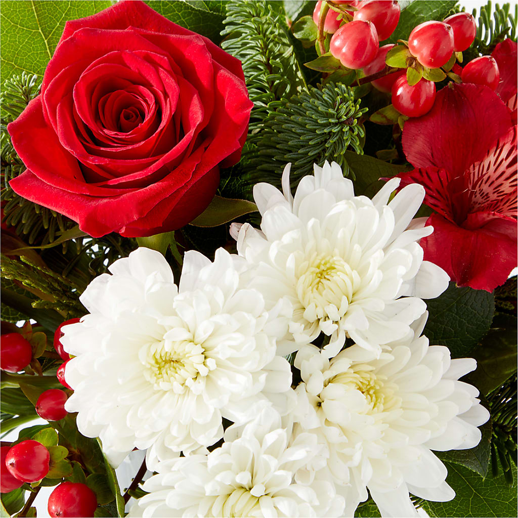 Letters to Santa Bouquet –  Heavenly Plants, Regina SK