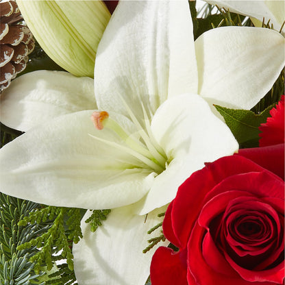 Oh So Jolly Bouquet –  Heavenly Plants, Regina SK