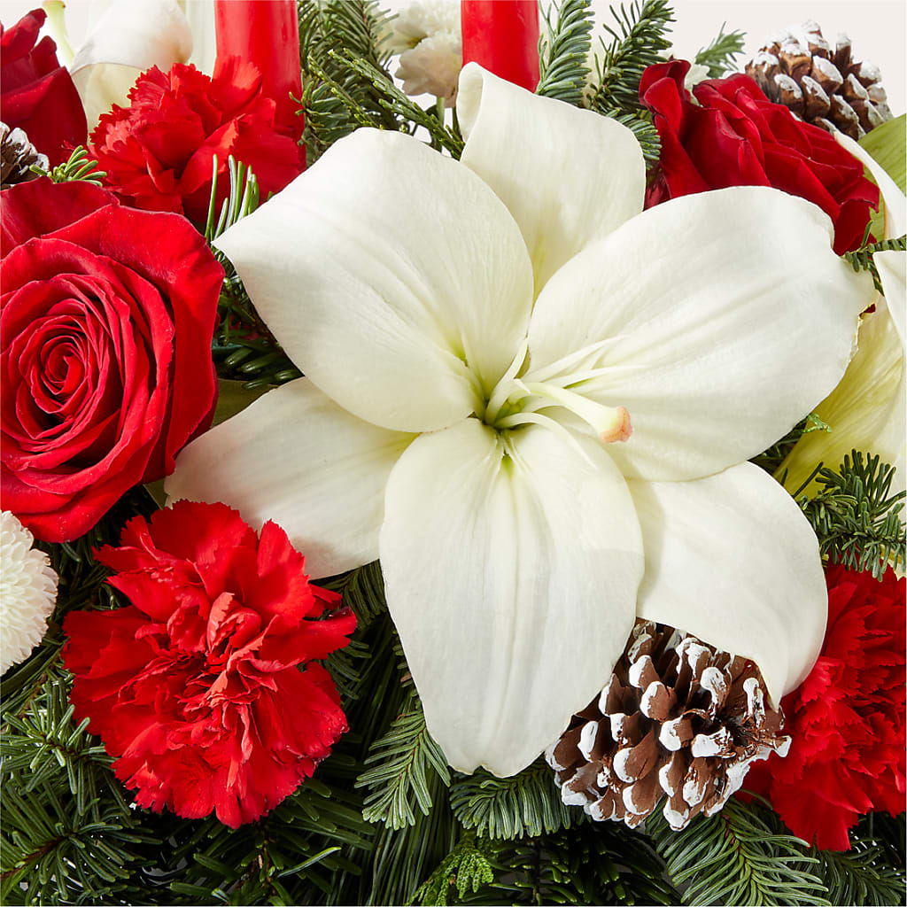 Seasonal Festivities Centerpiece –  Heavenly Plants, Regina SK