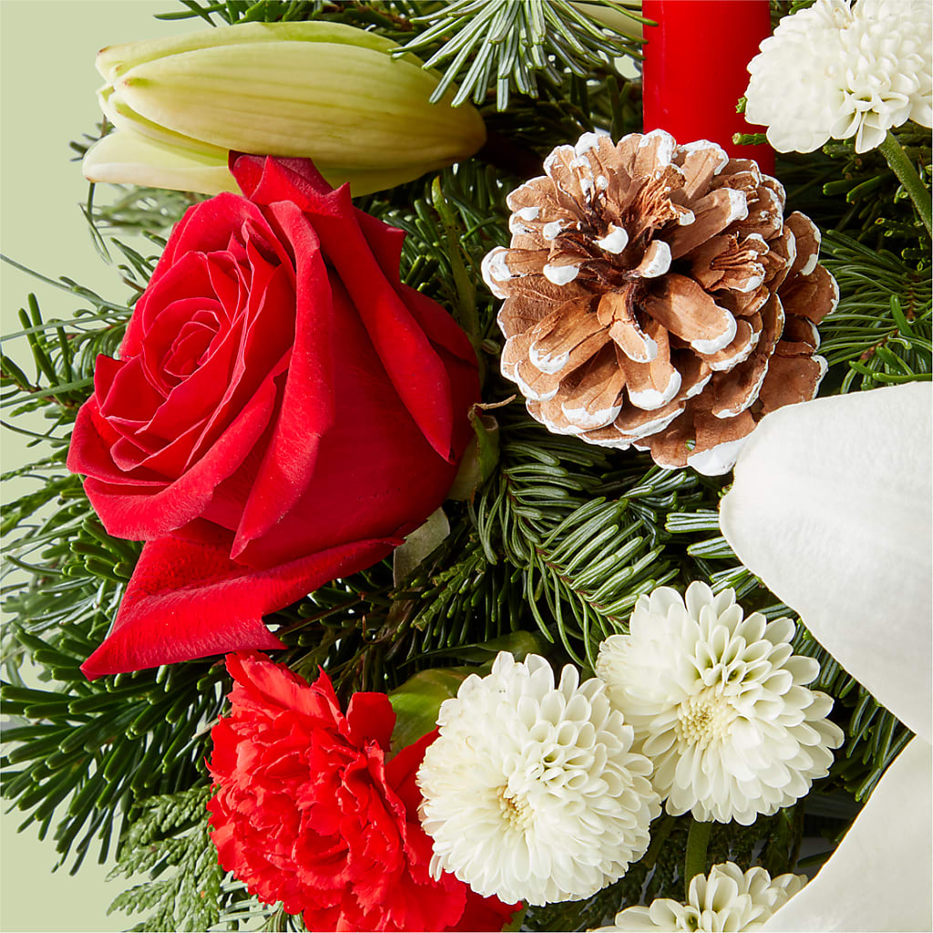 Seasonal Festivities Centerpiece –  Heavenly Plants, Regina SK