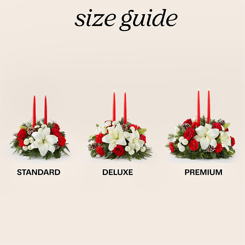 Seasonal Festivities Centerpiece –  Heavenly Plants, Regina SK