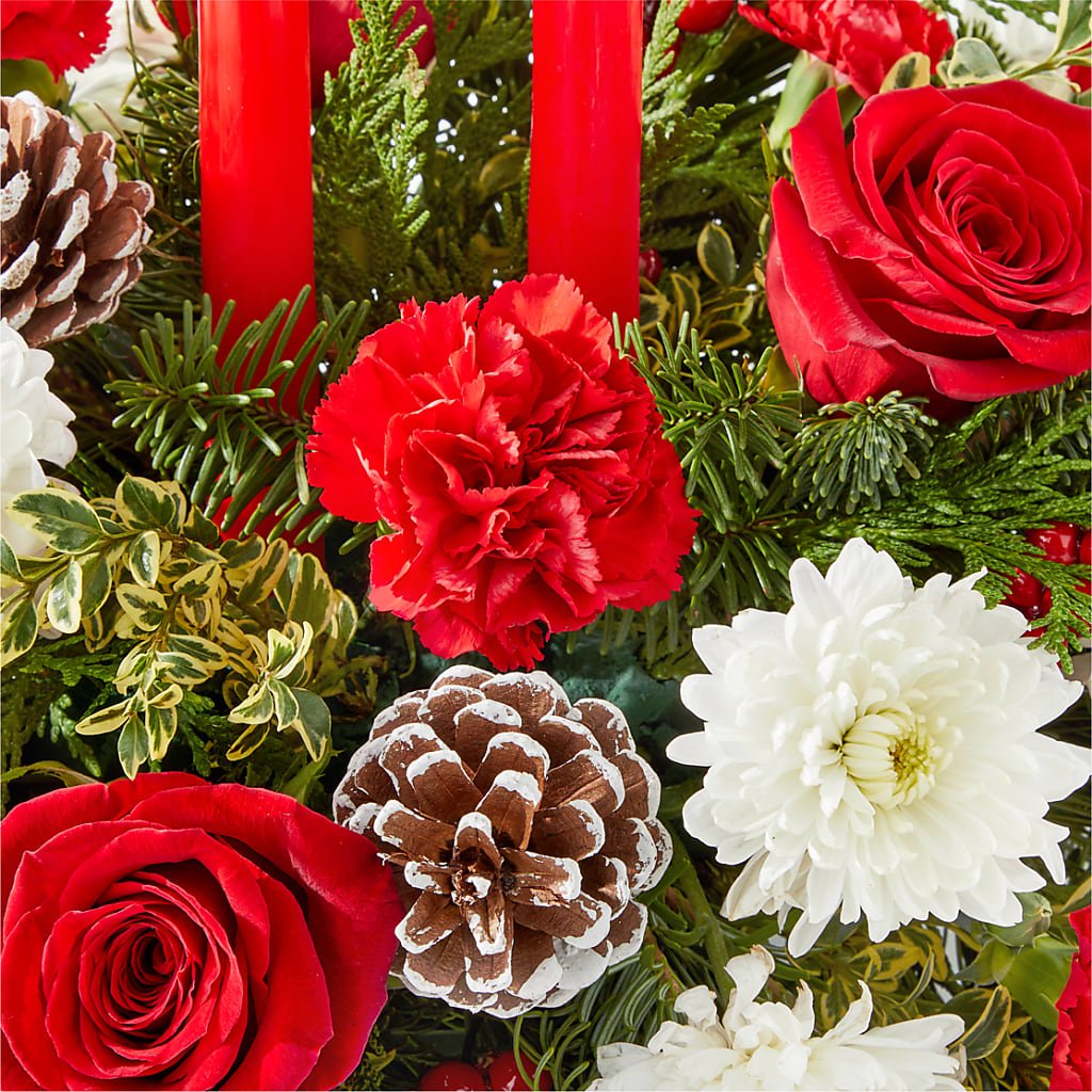 Holiday Soiree Centerpiece –  Heavenly Plants, Regina SK