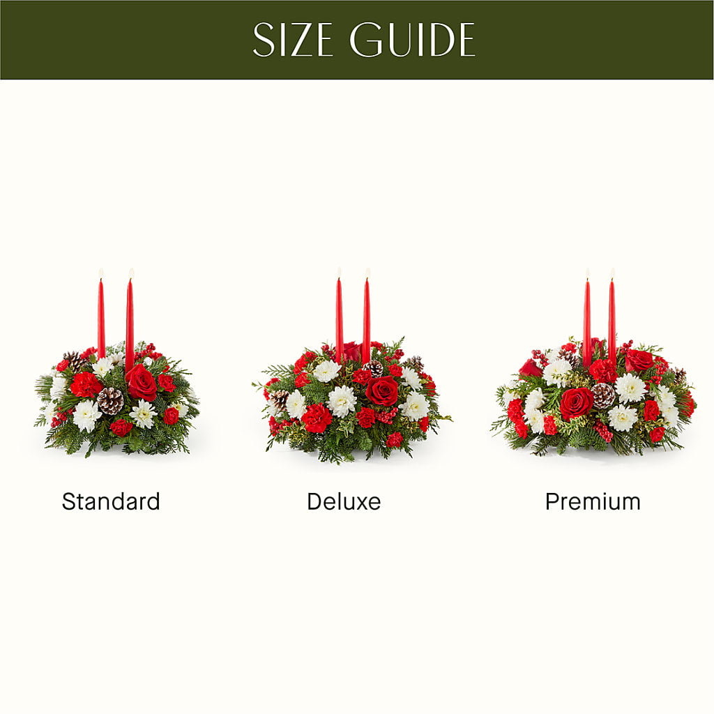 Holiday Soiree Centerpiece –  Heavenly Plants, Regina SK