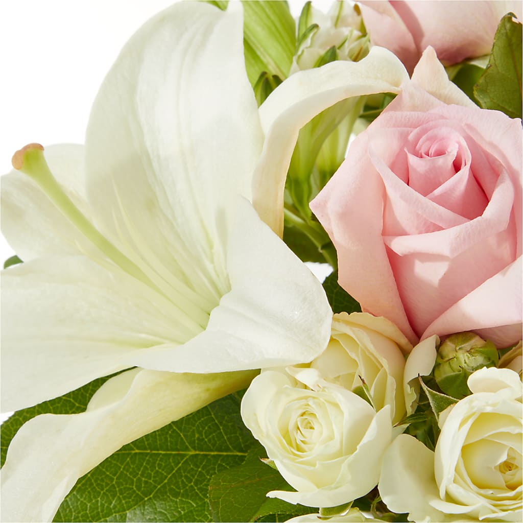Kindhearted Bouquet –  Heavenly Plants, Regina SK