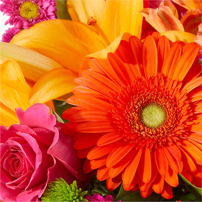 Soiree Bouquet –  Heavenly Plants, Regina SK