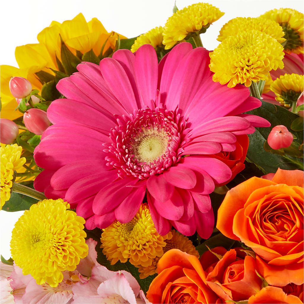 Beach Day Bouquet –  Heavenly Plants, Regina SK