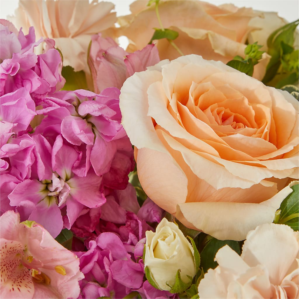 Paradise Bouquet –  Heavenly Plants, Regina SK