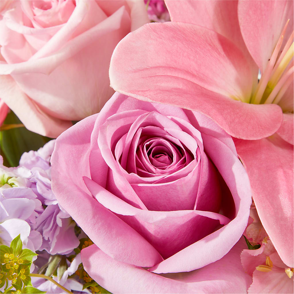 The Crown Jewel Bouquet –  Heavenly Plants, Regina SK