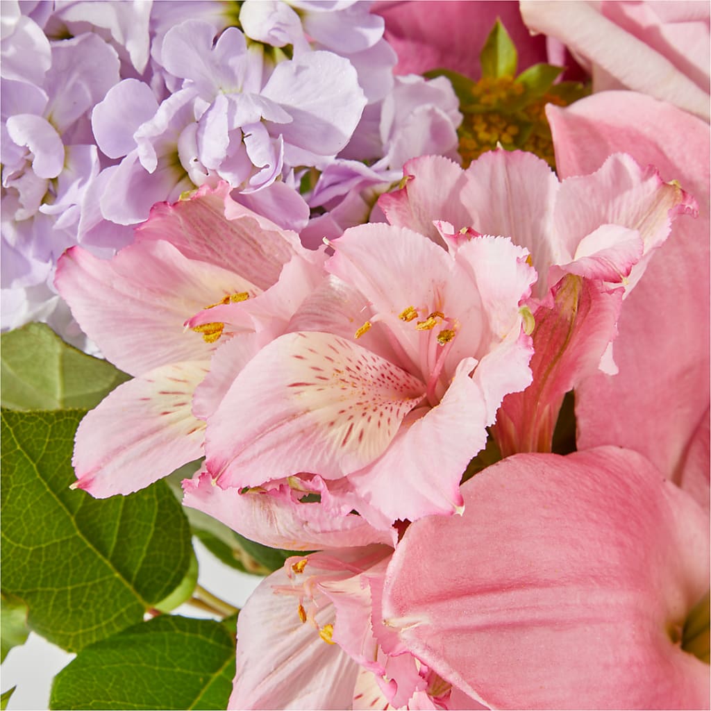 The Crown Jewel Bouquet –  Heavenly Plants, Regina SK