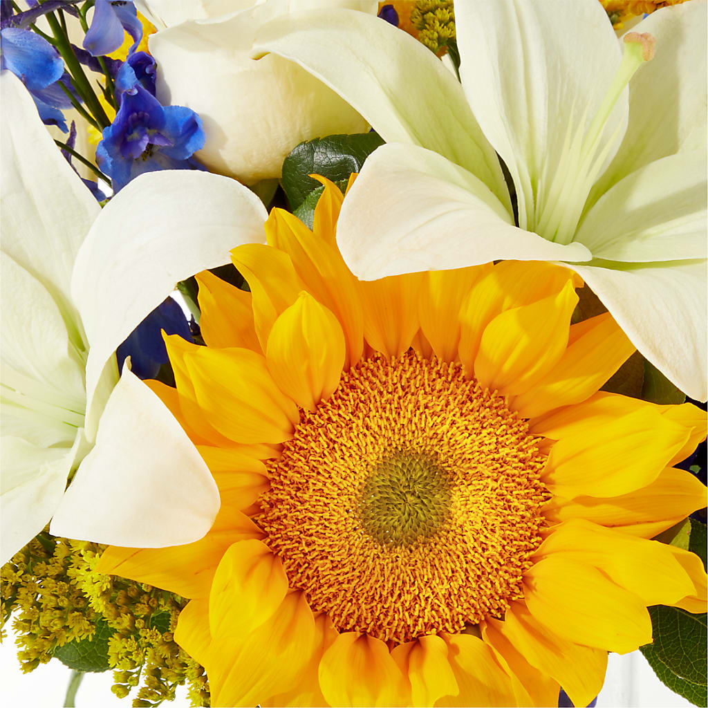 Stargazing Bouquet –  Heavenly Plants, Regina SK