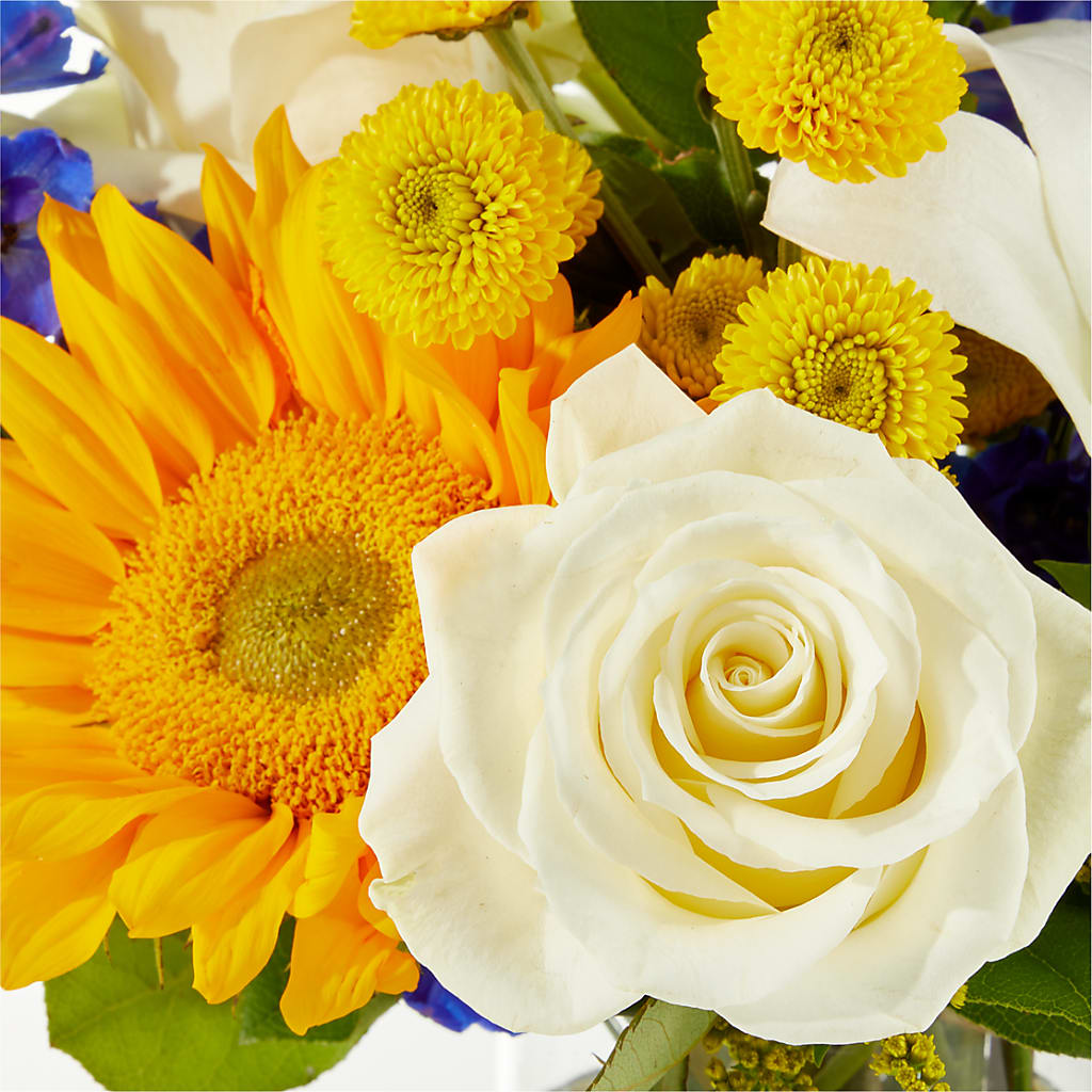Stargazing Bouquet –  Heavenly Plants, Regina SK