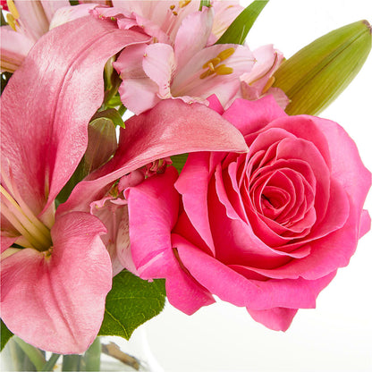 Lots of Love Bouquet –  Heavenly Plants, Regina SK