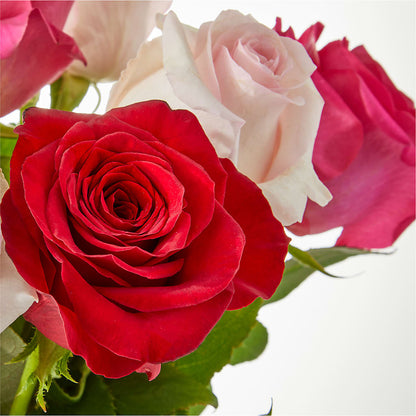 Charming Rose Bouquet –  Heavenly Plants, Regina SK