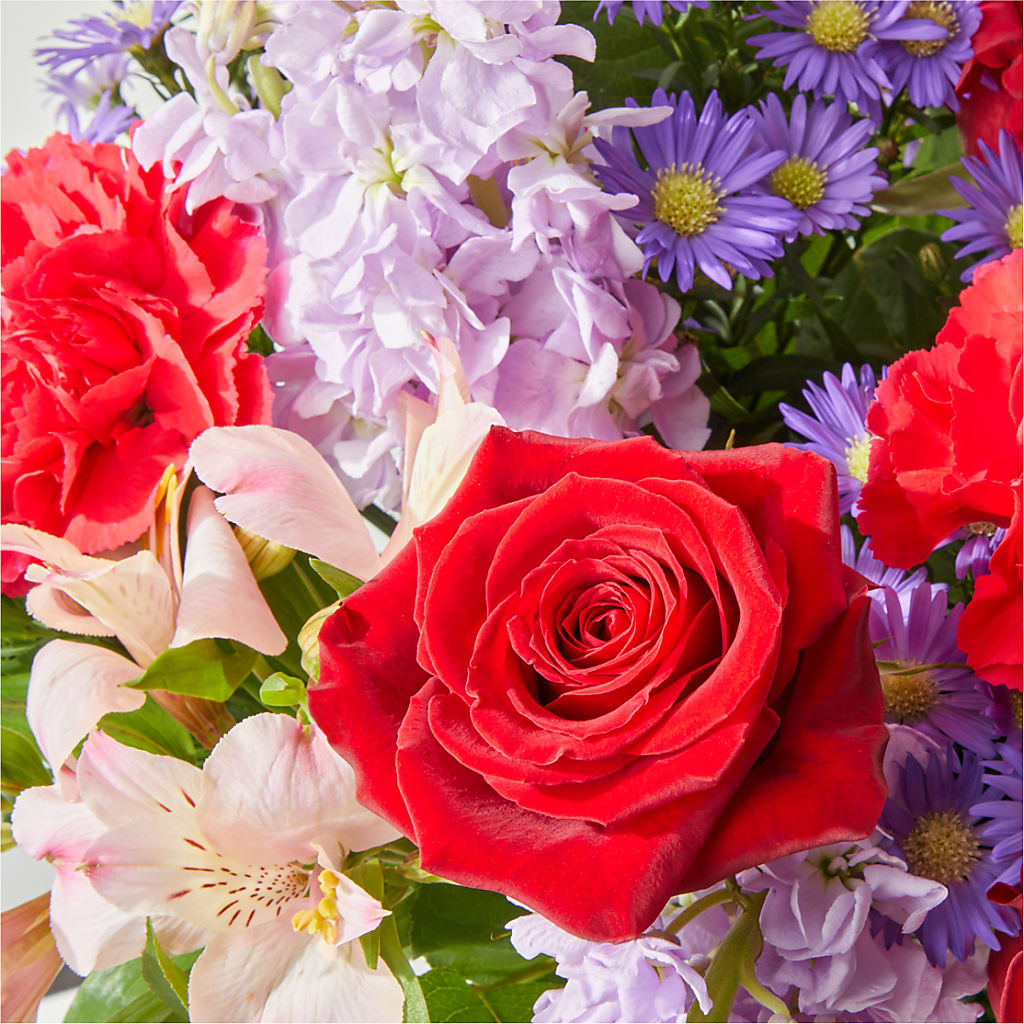 Your Majesty Bouquet –  Heavenly Plants, Regina SK