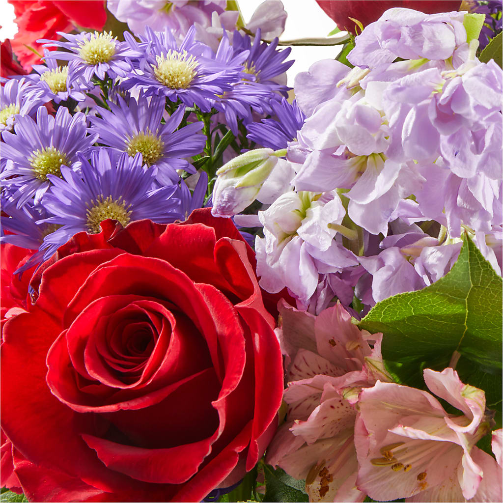 Your Majesty Bouquet –  Heavenly Plants, Regina SK