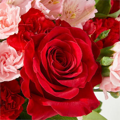 Candy Kisses Bouquet –  Heavenly Plants, Regina SK