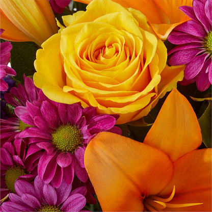 Colorful Visions Bouquet –  Heavenly Plants, Regina SK