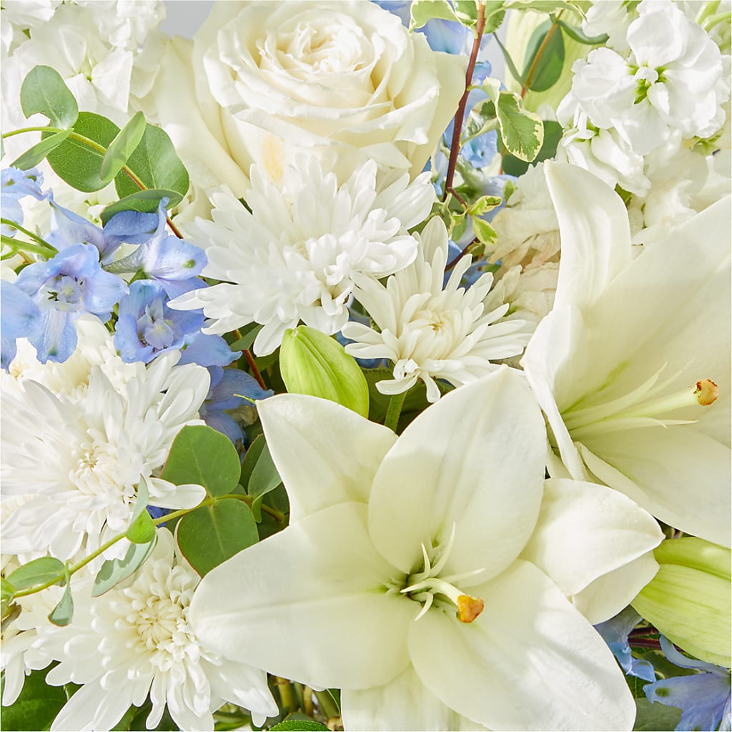 Peace of Mind Bouquet –  Heavenly Plants, Regina SK