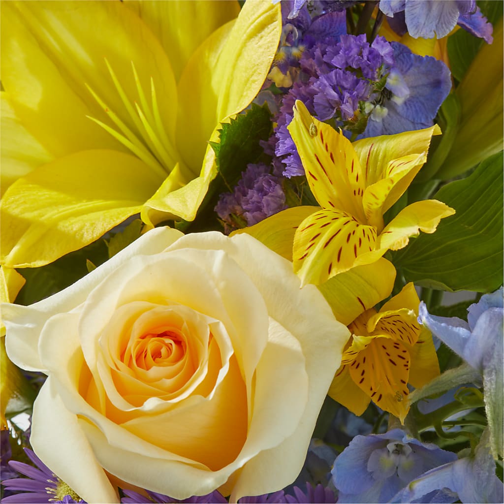 Limoncello Bouquet –  Heavenly Plants, Regina SK