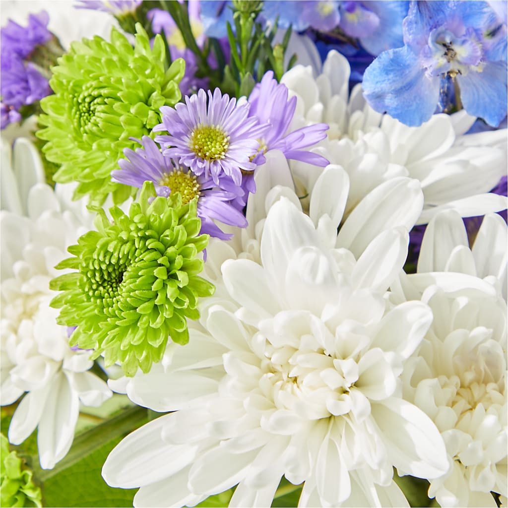 Genuine Gestures Bouquet –  Heavenly Plants, Regina SK