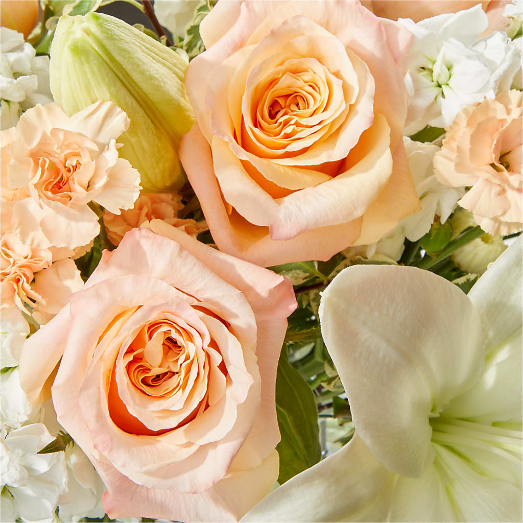 Darling Bouquet –  Heavenly Plants, Regina SK