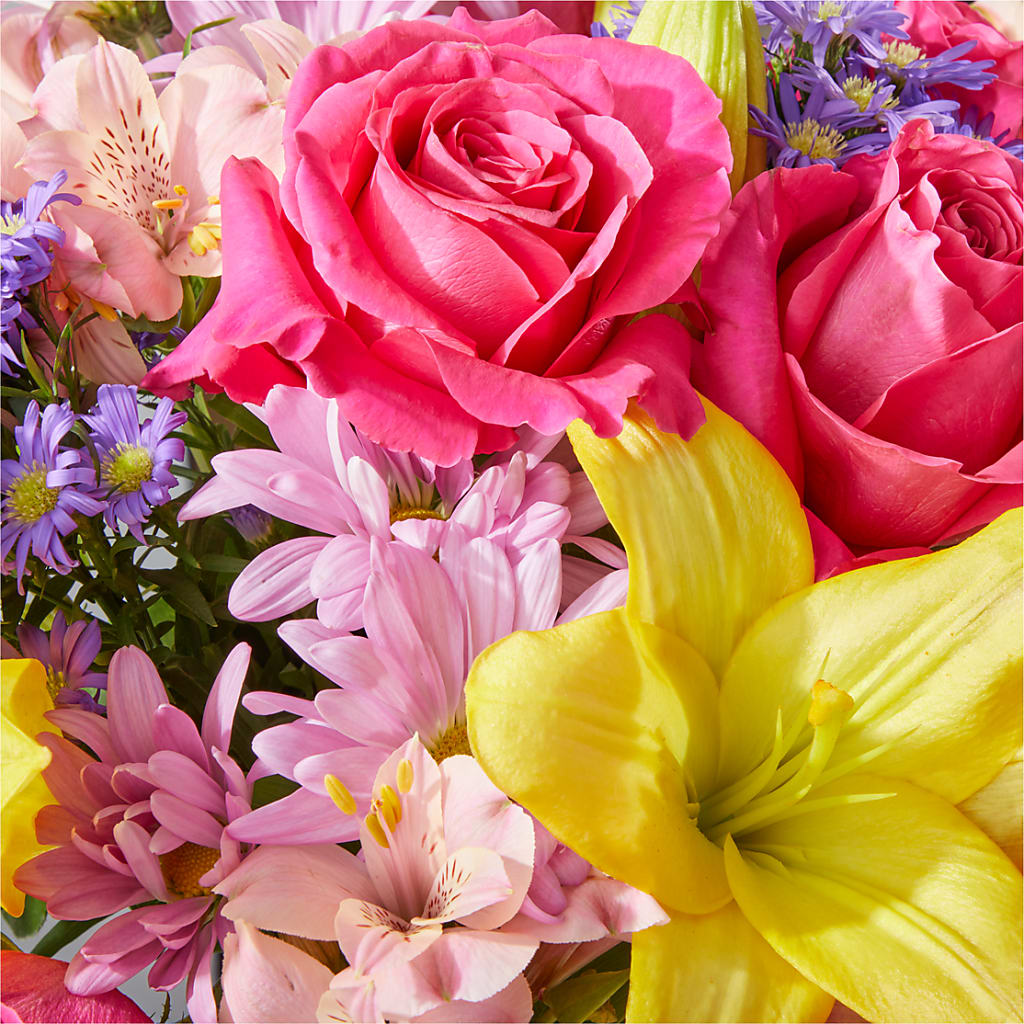 Sprinkles Bouquet –  Heavenly Plants, Regina SK