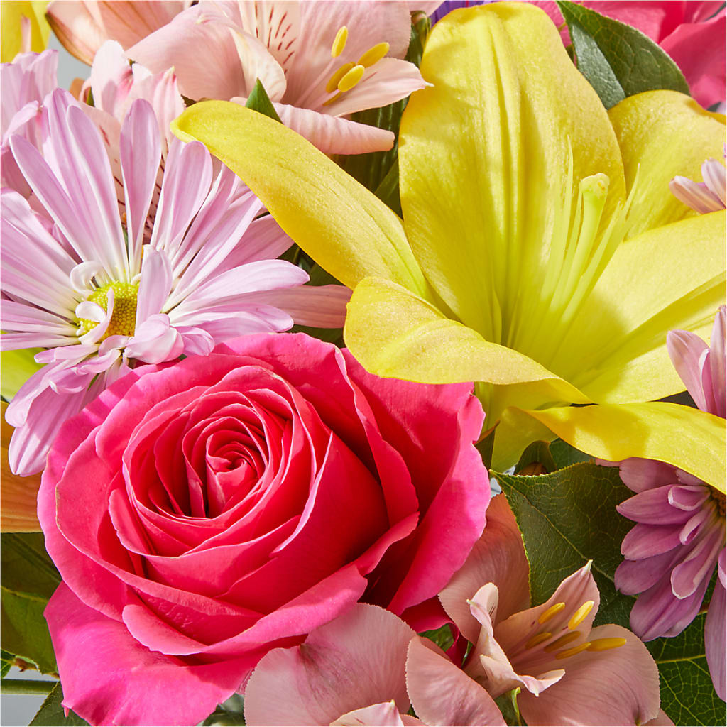 Sprinkles Bouquet –  Heavenly Plants, Regina SK