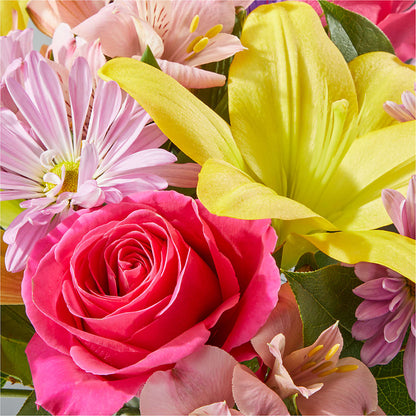 Sprinkles Bouquet –  Heavenly Plants, Regina SK