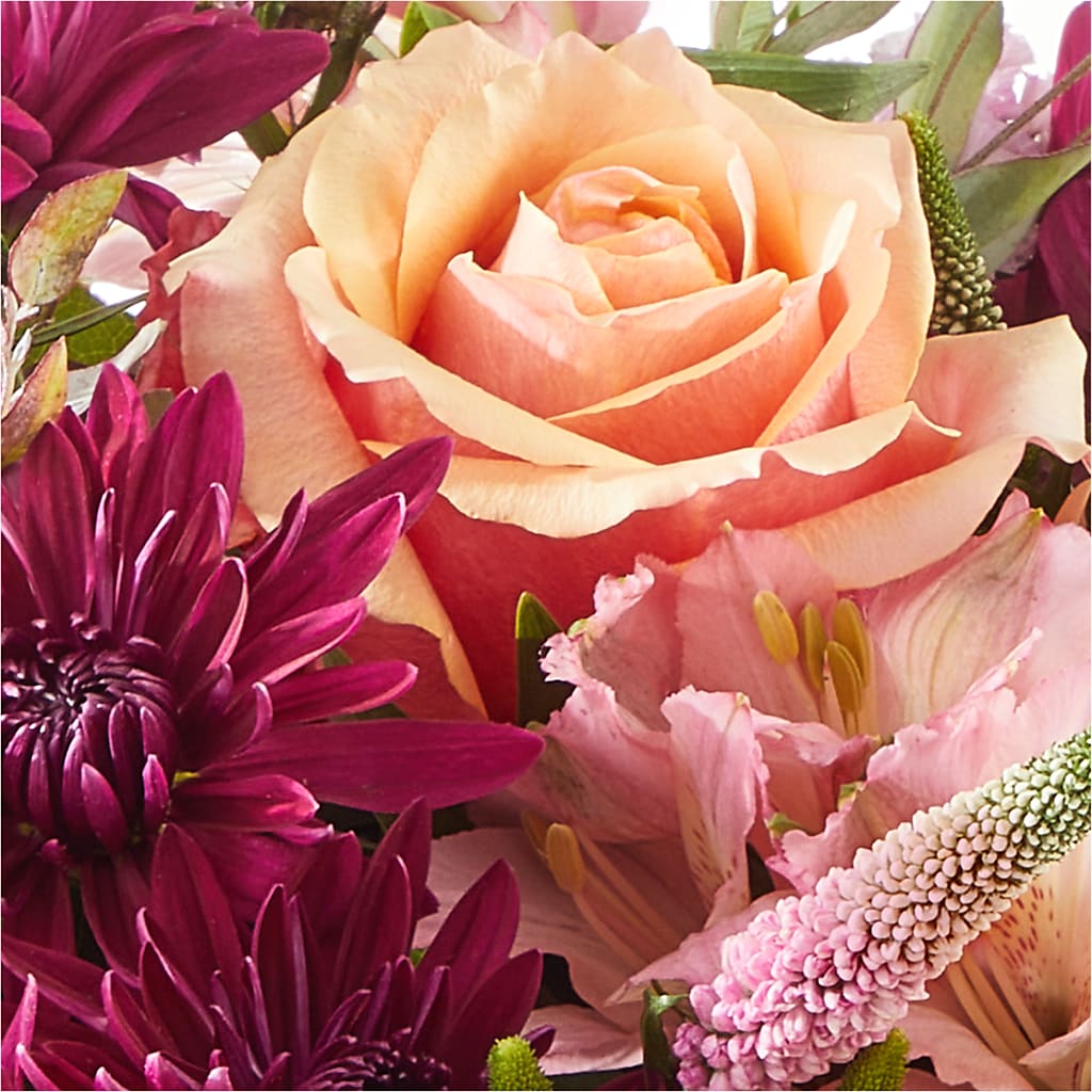 Berry Cobbler Bouquet –  Heavenly Plants, Regina SK